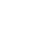 DAS Logo